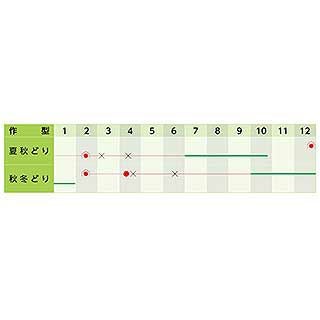  ネギ 種 【 ネギ吉蔵 】 小袋（7ml） ( ネギの種 )