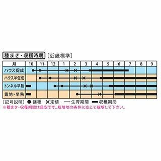 なす 種 【絹皮水茄子】 小袋