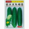 きゅうり 種 【巨大太丸】 10粒