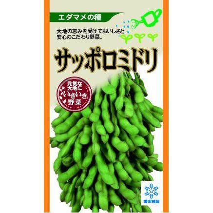 枝豆 種 【 サッポロミドリ 】 種子