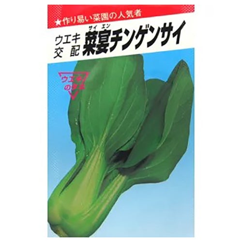 ちんげん菜 種 【 菜宴チンゲンサイ 】 種子