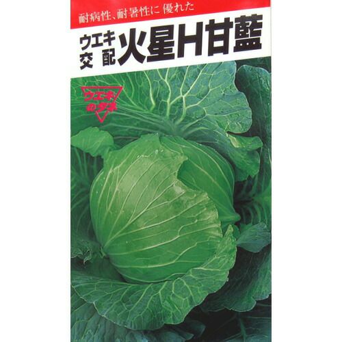 キャベツ 種 【 火星Ｈ 】 種子