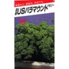 パセリ 種 【 改良USパラマウント 】 種子