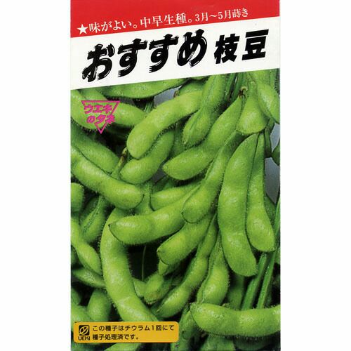 枝豆 種 【 おすすめ枝豆 】 種子