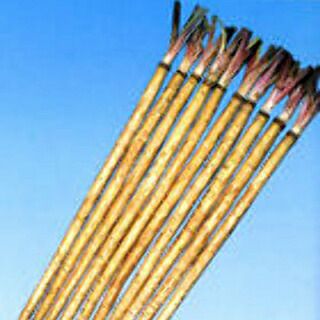 ごぼう 種 【 ゴボウ大作 】 種子 １Ｌ