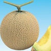 メロン 種 【雅初夏系】 100粒
