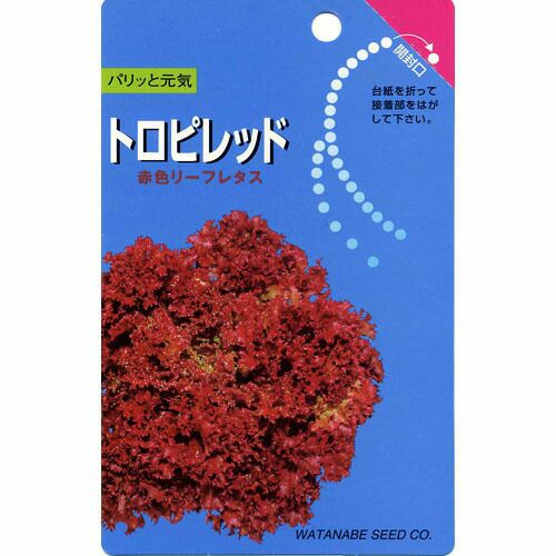 レタス 種 【 トロピレッド 】 種子