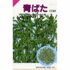 枝豆 種 【 青ばた 】 種子