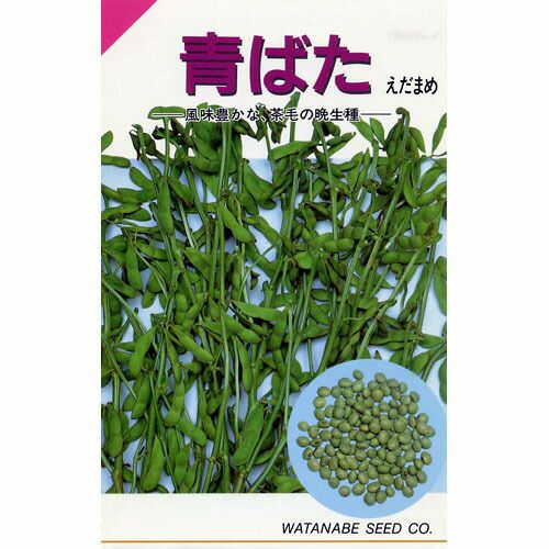 枝豆 種 【 青ばた 】 種子