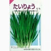 にら 種 【 たいりょう (ジャンボ) 】 種子