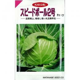 キャベツ 種 【 スピードボール2号 】 種子 20ml