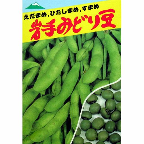 枝豆 種 【 岩手みどり 】 種子