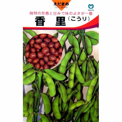 枝豆 種 【 香里 】 種子