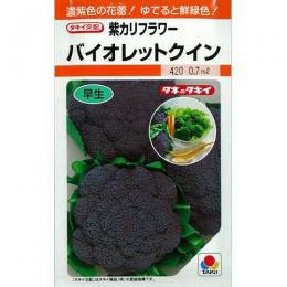 カリフラワー 種 【 バイオレットクイン 】