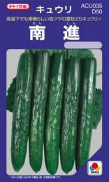 きゅうり 種 【 南進 】