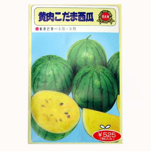 スイカ 種 【黄肉こだま】