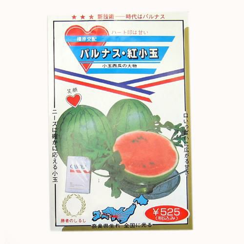 スイカ 種 【パルナス紅小玉】