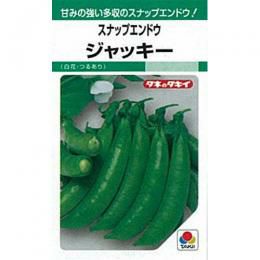 スナップエンドウ 種 【 ジャッキー 】