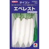 大根 種 【 エベレスト 】