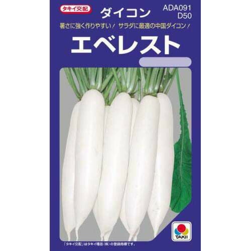 大根 種 【 エベレスト 】