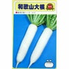 大根 種 【和歌山】 10ml