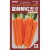 ニンジン 種 【 夏蒔鮮紅五寸 】