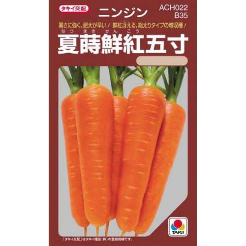 ニンジン 種 【 夏蒔鮮紅五寸 】