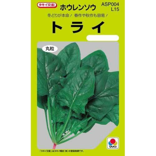 ホウレンソウ 種 【 トライ 】