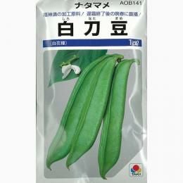 ナタマメ 種 【 白刀豆 】 種子