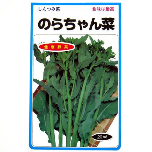【 のらちゃん菜 】 種子