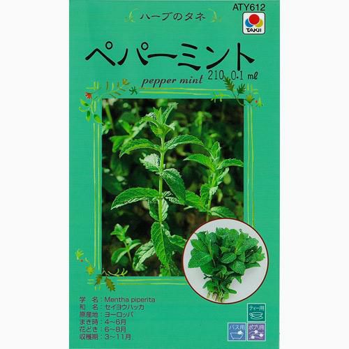 ハーブ 種 【 ペパーミント 】 種子
