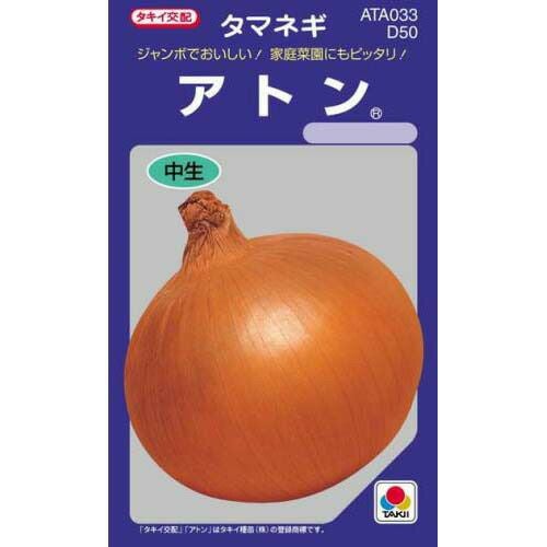 たまねぎ 種 【 アトン 】
