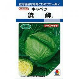キャベツ 種 【 浜岬 】 種子 L5千粒