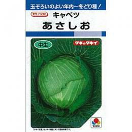 キャベツ 種 【 あさしお 】