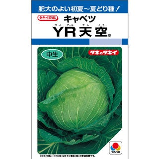 キャベツ 種 【 YR天空 】