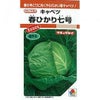 キャベツ 種 【 春ひかり七号 】