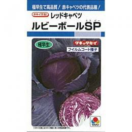 キャベツ 種 【 ルビーボールSP 】