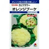 カリフラワー 種 【 オレンジブーケ 】