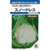カリフラワー 種 【 スノードレス 】 種子 20ml