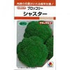 ブロッコリー 種 【 シャスター 】