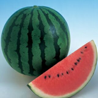 スイカ 種 【夏武輝】 200粒