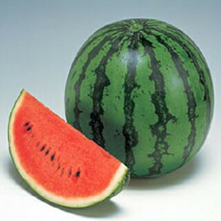 スイカ 種 【秀山】 200粒