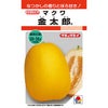 メロン 種 【 金太郎 】
