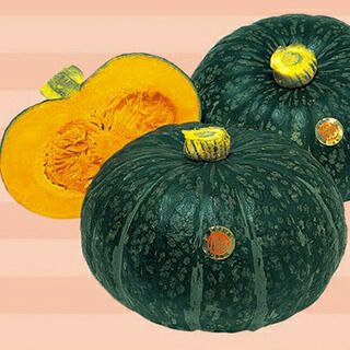 かぼちゃ 種 【えびす】 100粒