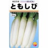 大根 種 【 ともしび 】 種子