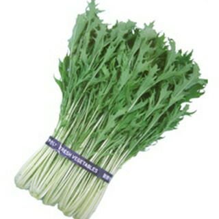 水菜 種 【 京美人水菜 】 種子 1dl