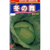 キャベツ 種 【 冬の舞 】 種子 コート５千粒