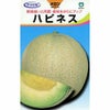 メロン 種 【ハピネス】 6粒