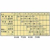 メロン 種 【タカミ】 100粒