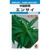 【 エンサイ 】 種子